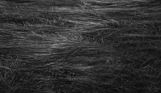 허미회, Entre-deux, 2025. 리앤배 제공