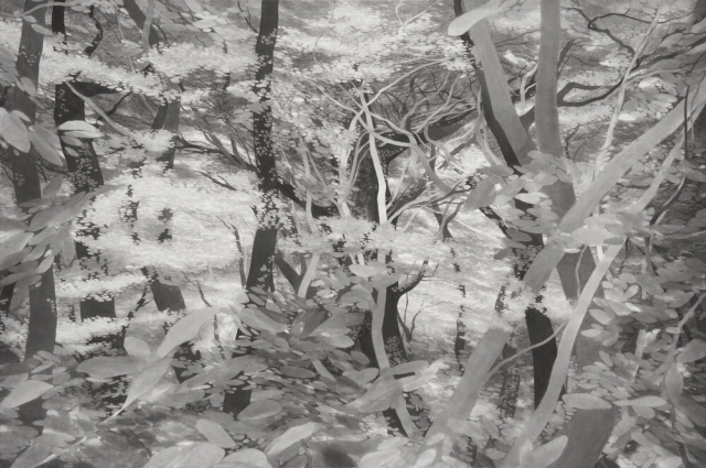 권소영, 얽힘의 흐름 Entangled Flow, 2025. 오브제후드 갤러리 제공