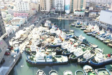 부산항만공사, 대교동 호안 내진성능 보강공사 완료