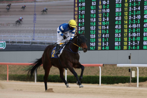 렛츠런파크 서승운 기수, 개인통산 900승 달성