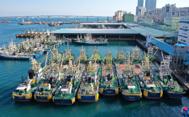 관련법 개정으로 대형선망수협이 조합 해산 위기를 면하게 됐다. 부산 서구 부산공동어시장 앞에 대형선망 선박들이 정박해 있다. 정종회 기자 jjh@