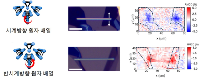 그림. 손대칭성에 따른 스핀 분포의 실공간 관측 결과. (왼쪽) 서로 다른 회전 방향을 지닌 손대칭성 텔레늄, (중앙) 텔레륨 나노선 물질 양쪽에 그래핀 전극을 붙인 소자의 실제 광학 이미지, (우측) 자기 원형 이색성(RMCD)으로 측정한 스핀 분포 지도. UNIST 제공