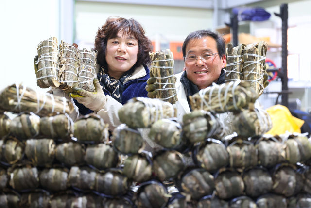 8일 지리산 자락인 경남 함양군 마천면 의탄리 의중마을에서 장철안 씨 부부가 천연 항노화 식품에 좋은 토종 참옻나무 껍질을 벗기는 작업을 하고 있다. 약용식물인 옻나무 껍질은 독성만 제거하면 항암 및 면역력 강화, 위장 기능 개선 등 다양한 효능을 보여 ‘산에서 나는 보약’이라 불린다. 함양군 제공