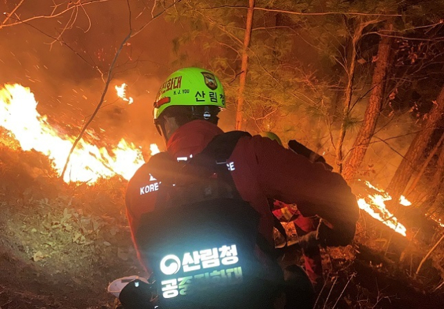 경산에서 발생한 산불을 진화하고 있는 산림청 공중진화대. 산림청 제공