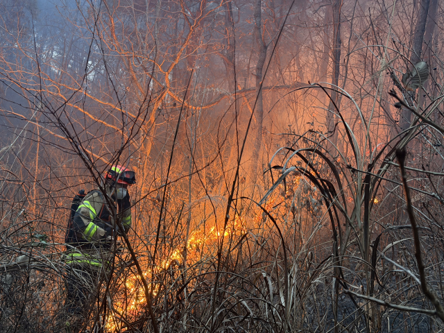 10일 오후 경북 의성군에서 대형 산불이 나 산불 대응 2단계와 소방 대응 2단계가 발령된 가운데 한 소방관이 진화에 나서고 있다. 연합뉴스