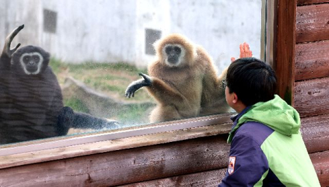 ‘동물 건강 미리 챙기자’ 부산시, 삼정더파크 먹이 지원 재개 추진