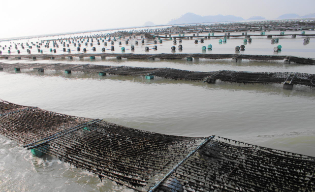김 양식장. 해수부 제공