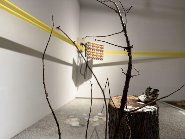 문진욱, '광장, 없던 질문을 만들어내는 힘'. 가변설치, 2026. 갤러리미고 제공