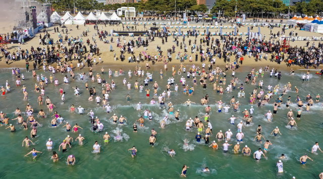 참가자들이 차가운 바닷물에 입수하고 있다. 김종진 기자 kjj1761@