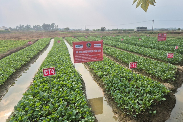 농진원, 농기자재 해외 테스트베드 지원사업 참여기업 모집...현지서 효... - 뉴스 썸네일 이미지