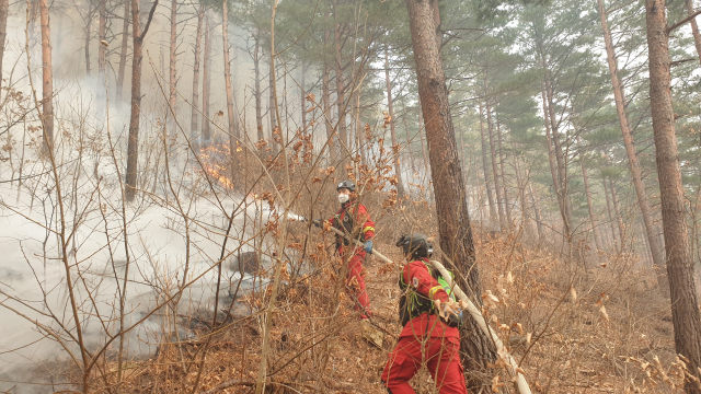21일 오후 3시 31분께 전남 광양시 옥곡면에서 산불이 나 산림청과 소방 당국이 진화작업을 벌이고 있다. 연합뉴스