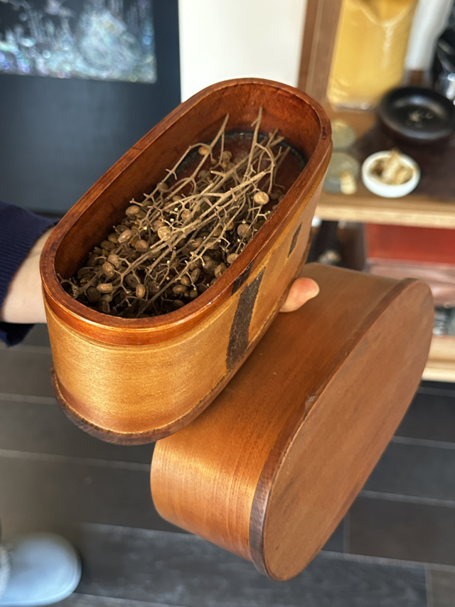 말린 옻나무 열매. 김은영 기자 key66@