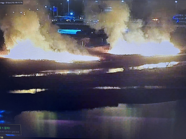 24일 오후 7시 26분 울산 북구 명촌동 명촌교 인근 갈대밭에서 화재가 발생해 시뻘건 불길과 함께 흰 연기가 치솟고 있다. 울산소방본부 제공