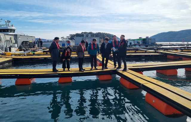 경남권 최대 양식 어류 산지인 통영시가 최근 계속된 한파에 저수온 피해 우려가 커지자 선제 대응에 나섰다. 21일 천영기 통영시장과 시·도원들이 서남해수수협 김성훈 조합장 안내로 해상가두리양식장을 둘러보고 있다. 김민진 기자