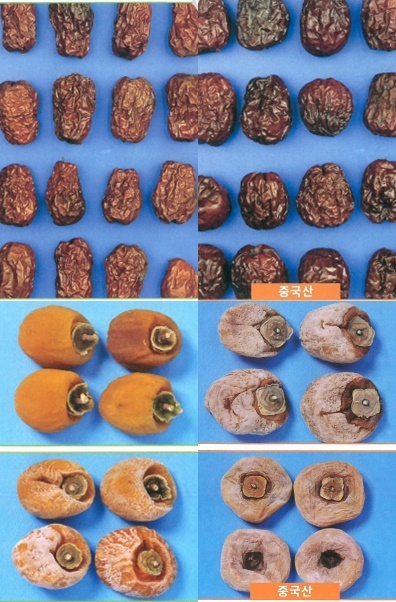 농관원이 제시한 국산과 중국산 대추 및 곶감 차이점. 농관원 제공