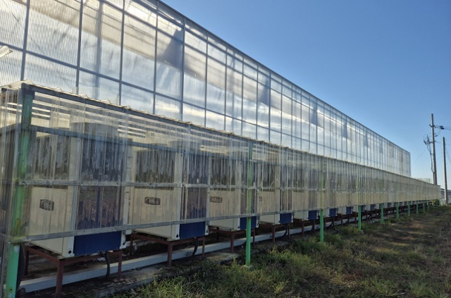 온실하우스에 히트펌프를 설치한 모습. 이를 통해 온실가스 감축이 인정되면 이를 외부에 판매할 수 있다. 농진원 제공