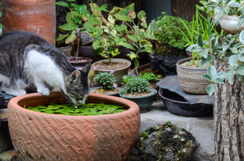 [마음 산책] 자신과 타자 동일시… 그 뒤엔 깊은 상실감이