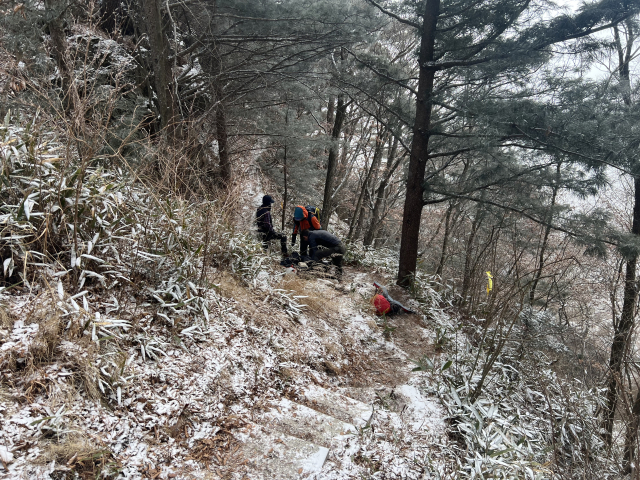 1일 오전 10시 50분께 함양군 마천면 지리산 탐방로에서 심정지로 쓰러진 A 씨가 국립공원 레인저에 의해 발견됐다. 지리산국립공원 경남사무소 제공