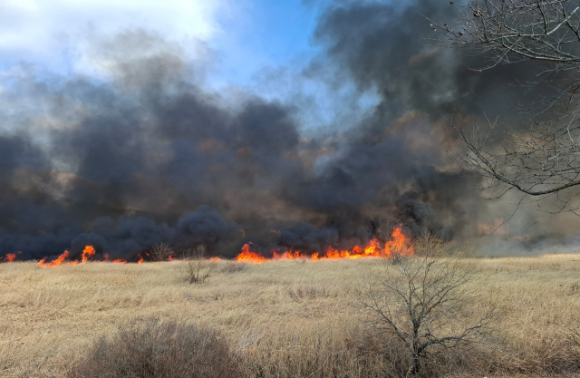 2일 낮 12시 39분 창원시 의창구 대산면 일동리 수산대교 수변의 갈대밭에서 불이 나 검은 연기가 치솟는 모습. 창원소방본부 제공