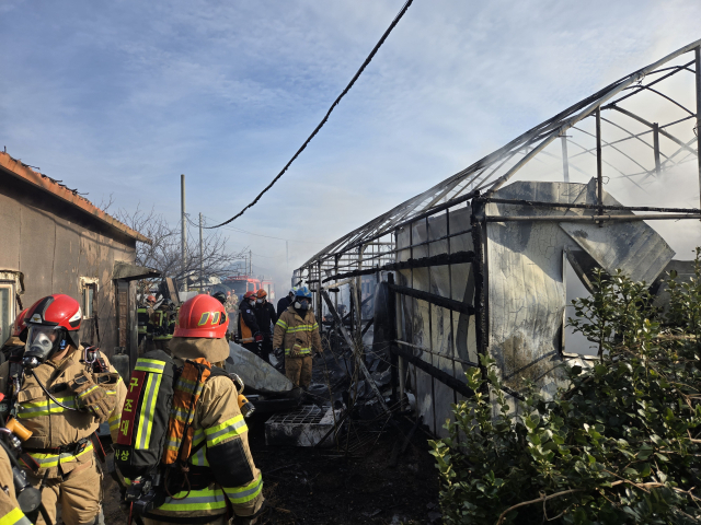 4일 부산 강서구 강동동 비닐하우스에서 불이 나 70대 남성이 숨졌다. 부산소방재난본부 제공