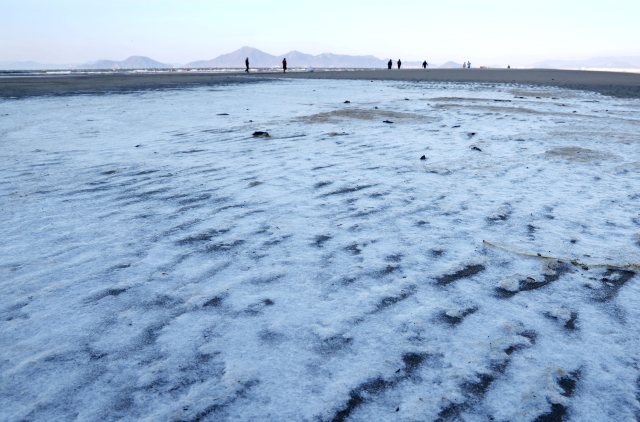 부산의 아침 최저기온이 영하 8도까지 내려가는 등 전국이 꽁꽁 얼어붙은 지난 8일 오전 부산 사하구 다대포해수욕장에 밀려든 바닷물이 그대로 얼어붙어 강추위를 실감케 하고 있다. 정종회 기자 jjh@