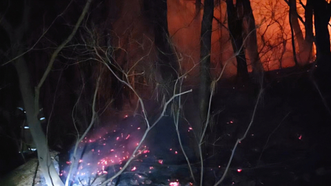 부산 쇠미산 화재 16시간 만에 진화… 불 끄던 1명 경상