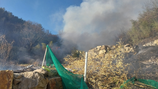 경남 양산시 원동면 산불. 경남소방본부 제공. 연합뉴스