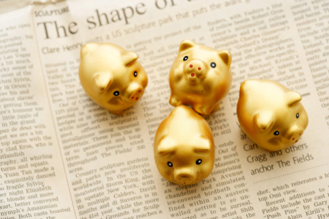 한 알 한 알 모으는 콩알금, 제값 받을 수 있을까? [궁물받는다]