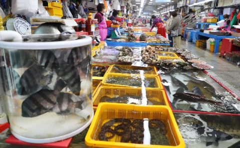 ’20년 무상 사용’ 종료 앞둔 자갈치현대화시장, 앞으로 누가 운영하나?