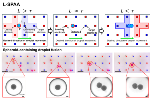 국립부경대 임도진 교수팀, 세계 최초 ‘범용 액적 제어 알고리즘’ 개발