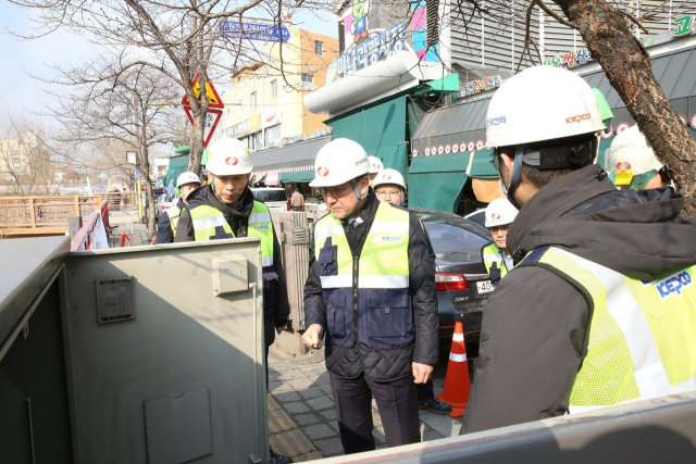 전력설비 현장점검(가운데 정치교 한전 안전&영업배전부사장). 한전 제공
