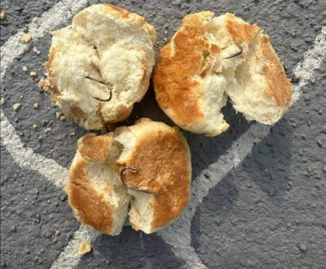 낚시바늘 박힌 빵. SNS 게시글 갈무리