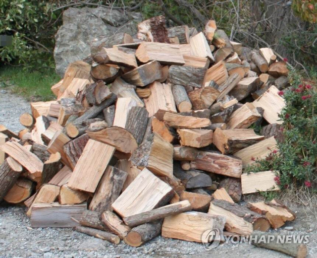 땔감 나무. 연합뉴스