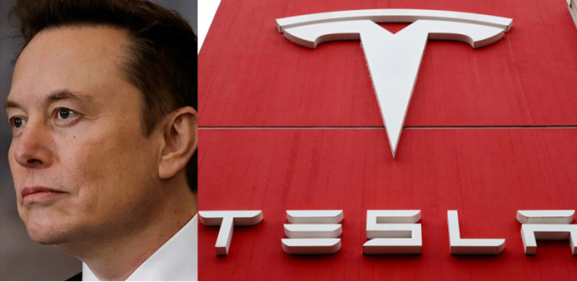 일론 머스크 테슬라 대표. 연합뉴스