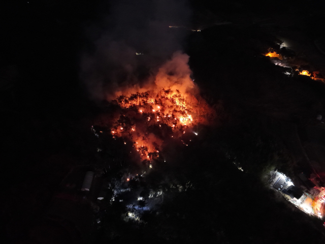 울산 중구 성안동의 한 야산에서 불이 나 3시간 30분 만에 진화됐다. 울산소방본부 제공