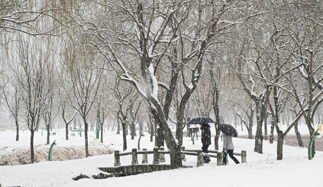 대설주의보가 내린 경남 거창군 남상면 거창창포원에 많은 눈이 내리고 있다. 거창군 제공