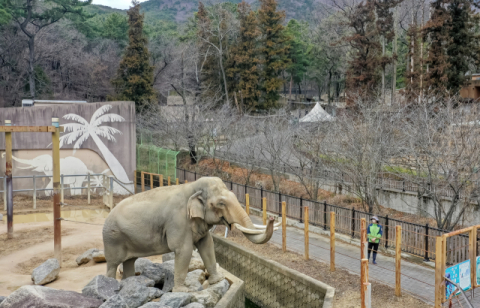 [영상] 부산시, 삼정더파크 478억 원에 인수… '생명 존중 동물원’ 목표로 2027년 개장