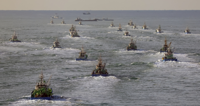 지난 23일 오전 국내 고등어 어획량의 80% 이상을 담당하는 대형선망 어선들이 부산 서구 공동어시장에서 출항해 먼 바다로 나가고 있다. 김종진 기자 kjj1761@