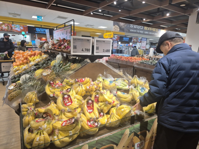 서울 용산의 한 대형마트에서 한 남성이 바나나를 고르고 있다. 연합뉴스