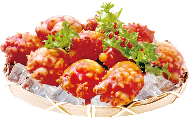 3월 이달의 수산물로 선정된 멍게(원물 사진). 해수부 제공