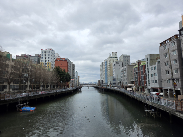 7년 넘게 공회전 중이던 부산 사하구 ‘괴정천 생태하천 복원’ 공사가 착공 첫 단계에 돌입한다. 사진은 3일 낮 12시 괴정천 모습. 김재량 기자 ryang@