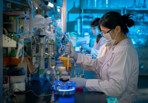 주총 앞둔 제약·바이오 업계...경영 체제·사업 전략 등 점검대 - 뉴스 썸네일 이미지