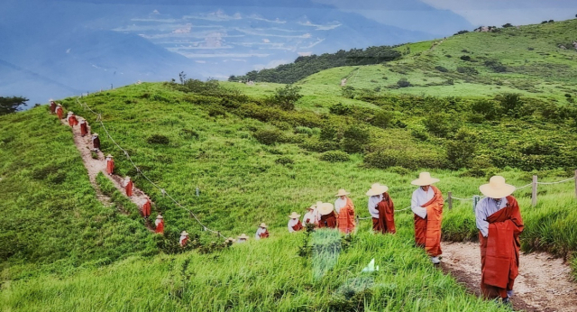WTN 홈페이지에 소개된 천성산. (사)양산도시문화연구원 제공