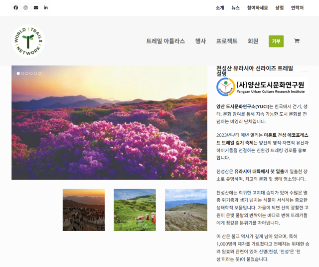 WTN에 소개된 양산도시문화연구원과 천성산 유라시아 일출 트레일. WTN 홈페이지 갈무리