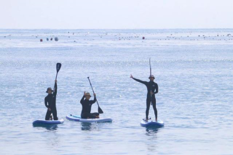 부산시, 문체부 '웰니스관광 클러스터 활성화' 공모 선정