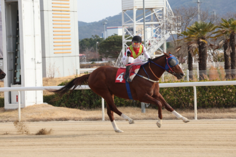 빈체로카발로 부산일보배 대상경주 2연패