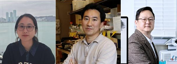 (왼쪽부터) UCSD 생명과학과 정민주 박사, UCSD 생명과학과 임병국 교수, KAIST 뇌인지과학과 백세범 석좌교수. KAIST 제공