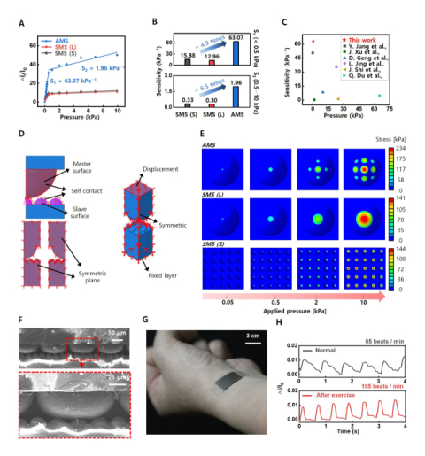 부산대, 맥박·음성·근육 떨림까지 감지하는 유연한 압력센서 개발 - 뉴스 썸네일 이미지
