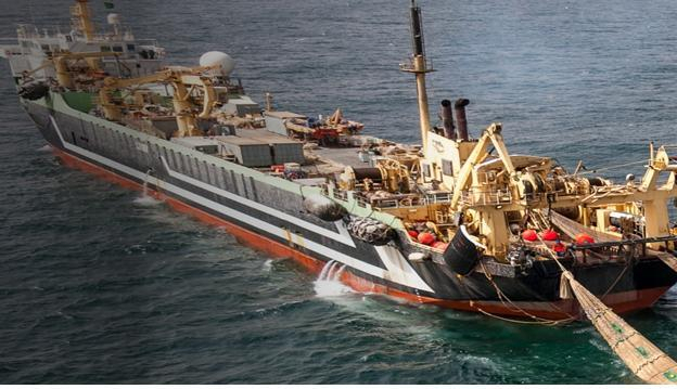 전갱이 조업 중인 원양어선 선박. 해수부 제공