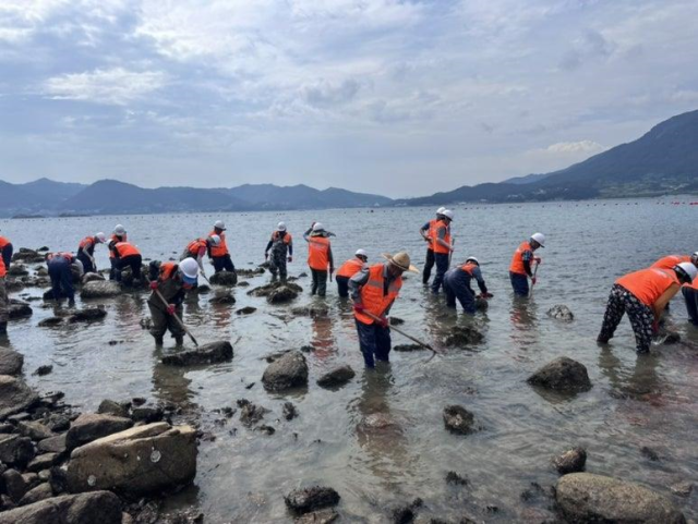 한국수산자원공단 남해본부 어촌계 협력 연안정화 활동. 수산자원공단 제공